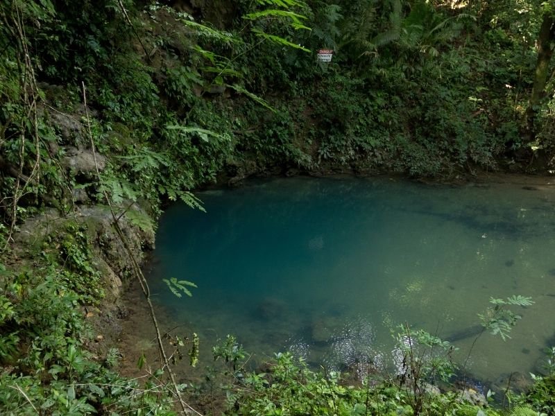 Swimming hole in belize surrounded by jungle flora and leaves