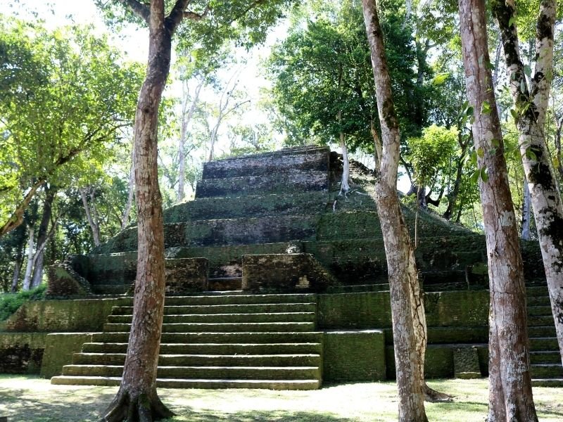 smaller pyramid at cahal pech ruins surrounded by trees and shaded