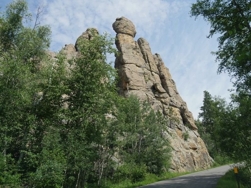 A road going through the Needles highway