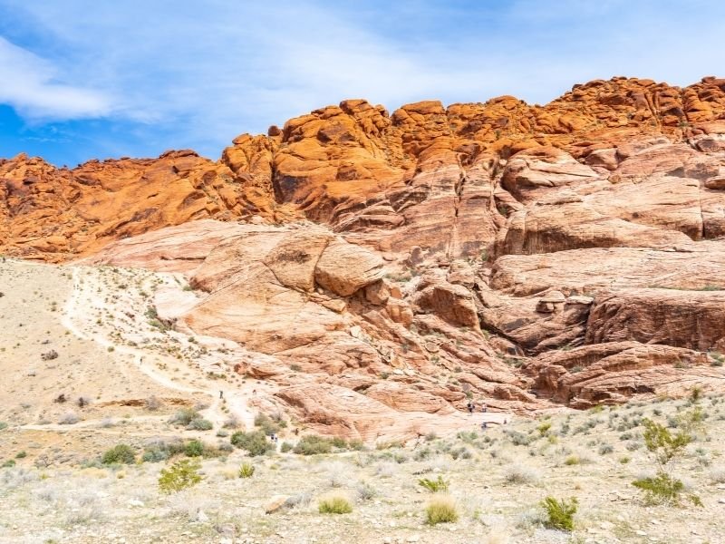 visiting the red rocks of red rock canyon in las vegas with shrubbery and desert flora