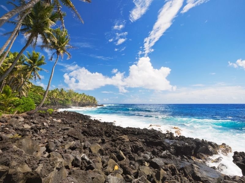 rocky beach with lava rock and bright blue water and palm trees