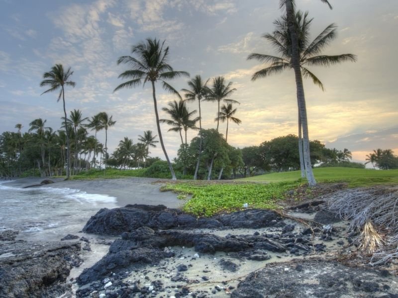 rocky beach with some sandy areas and grass and lots of palm trees in the kona area