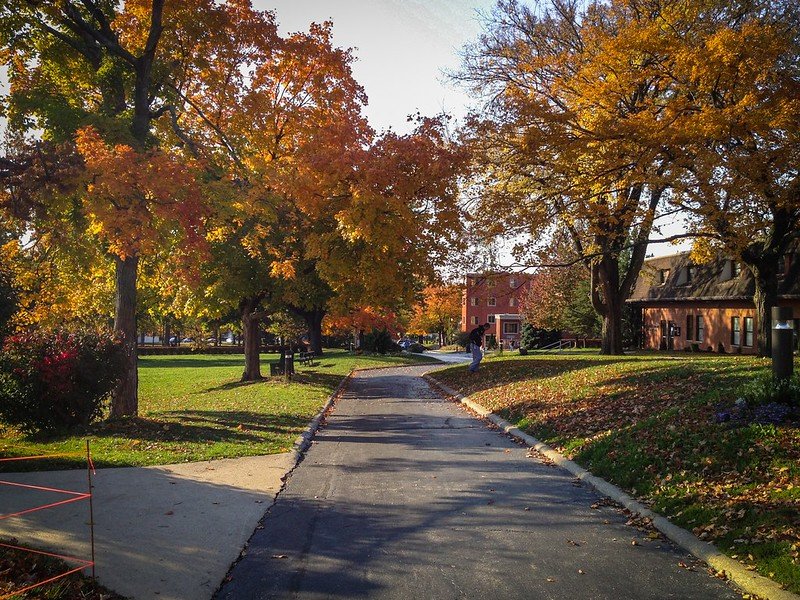 a beautiful fall foliage day in greenville