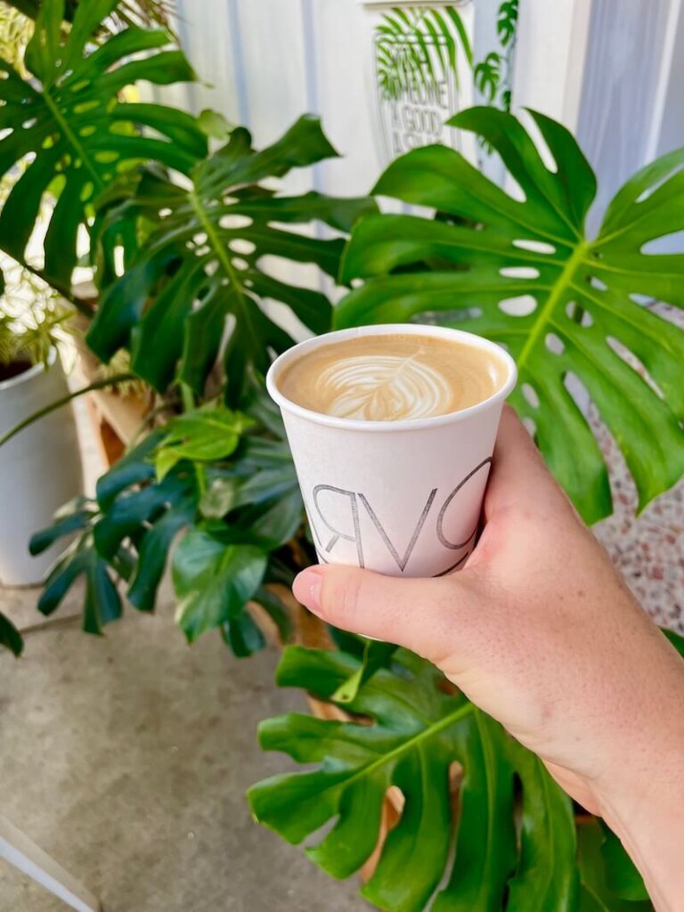 hand holding coffee with latte art in front of a green monstera deliciosa plant