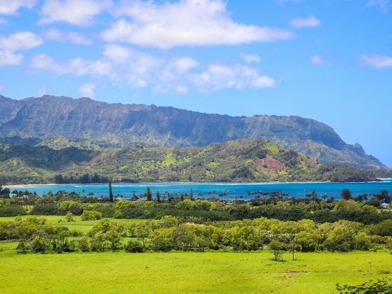 Blue grass, turquoise sky, and coastline of Kauai