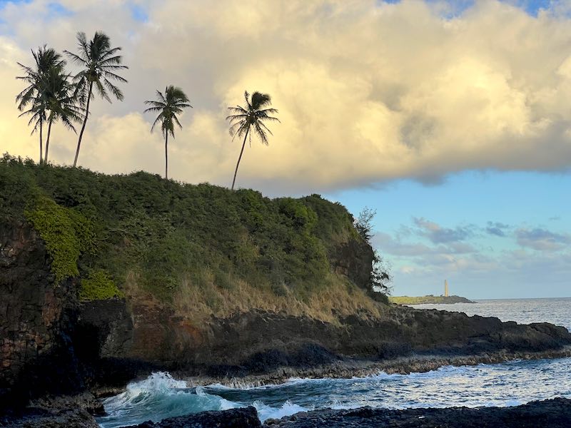 A few palm trees on the rugged coast of Kauai with a lighthouse in the distance as seen at sunset