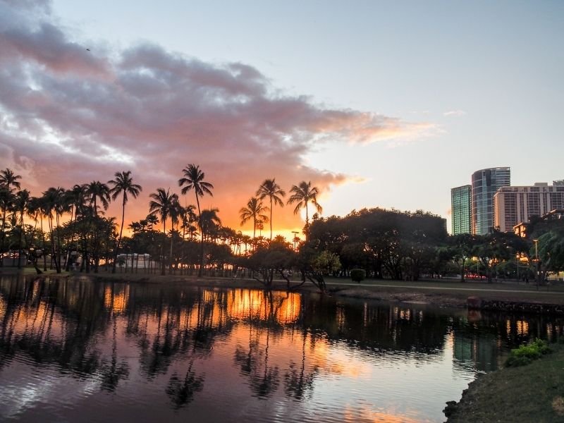 sunset looking over the water and palm trees at ala moana beach park in waikiki