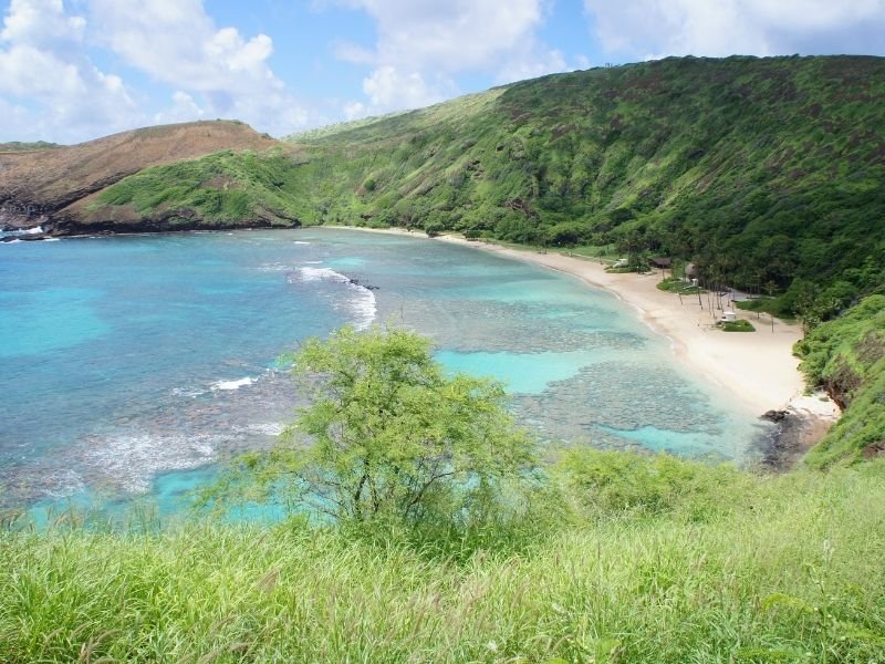 the beautiful beach at hanauma bay with no one on it early in the morning with peaceful water