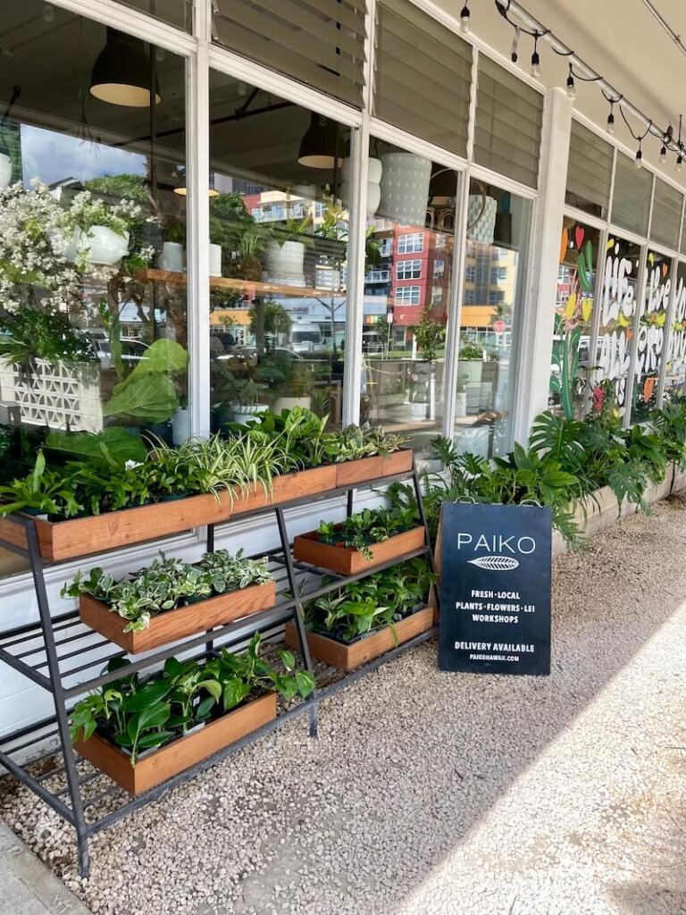 trendy plant shop in the kaka'ako neighborhood of honolulu