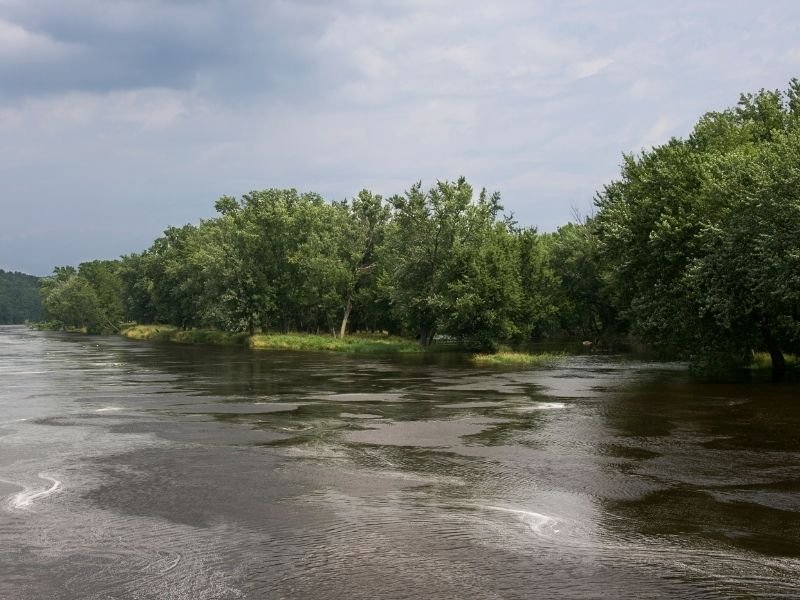 calm waters in the st croix river in minnesota with green summer trees and a cloudy sky