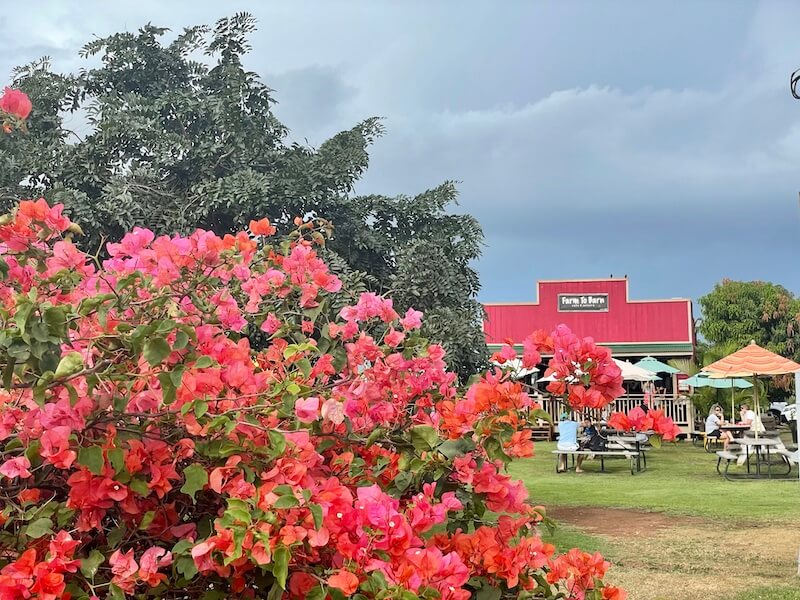 flowers in front of the farm to barn restaurant outdoor eating areas