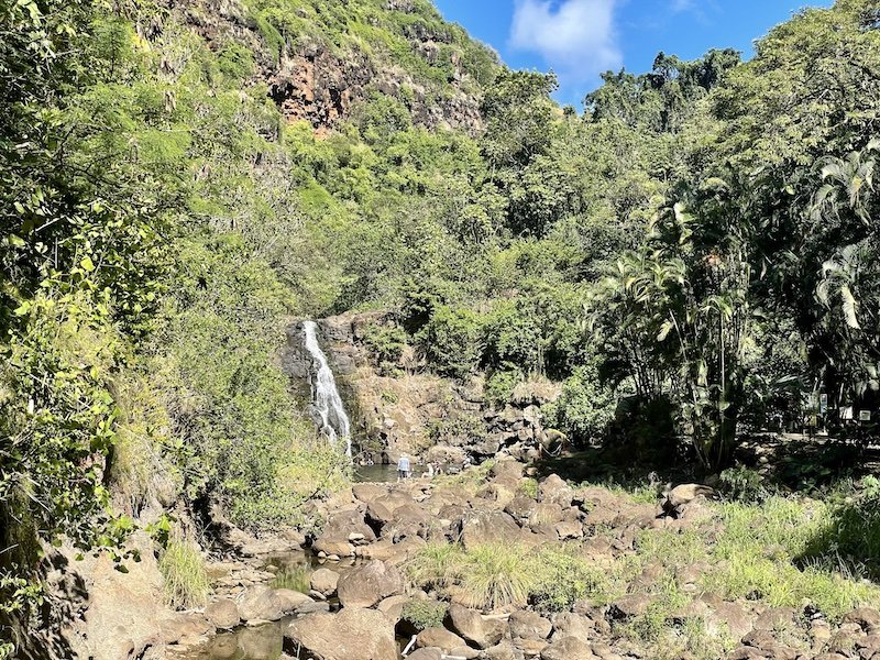 the scenic waterfall in waimea valley at the end of the trail