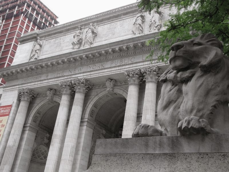 lion statue in front of the facade of the new york public library in manhattan