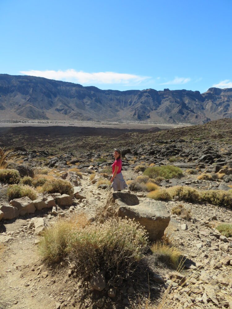 a traveler enjoying the landscapes of Tenerife while hiking using a hiking app to identify plantlike around her