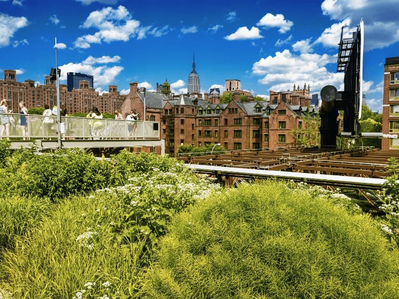 greenery along the highline park which runs from chelsea to hudson yards along the west side of manhattan