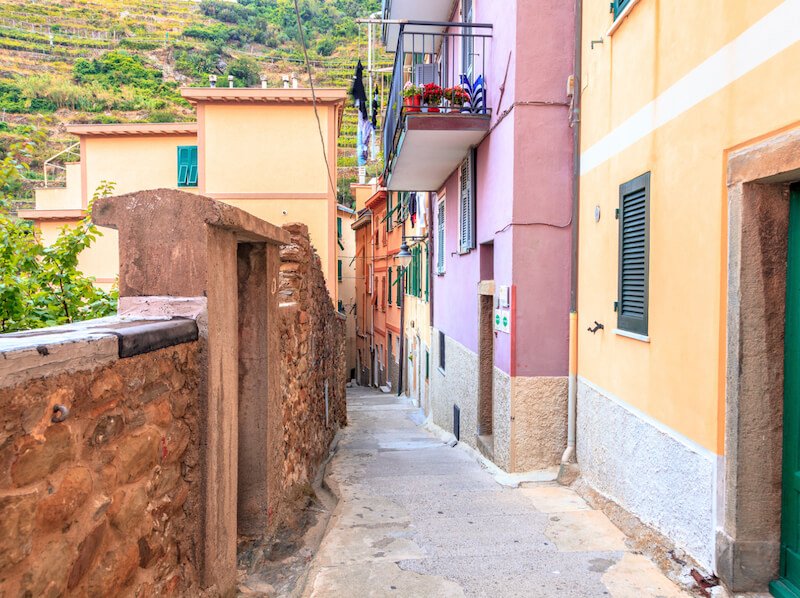 charming pink, yellow and orange street in manarola with vineyards behind the street