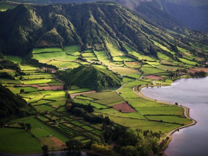 São Miguel Azores: Half-Day Whale Watching Trip