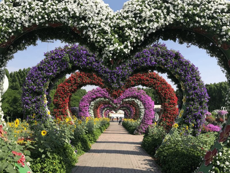 heart shaped arches with flowers at the dubai miracle garden