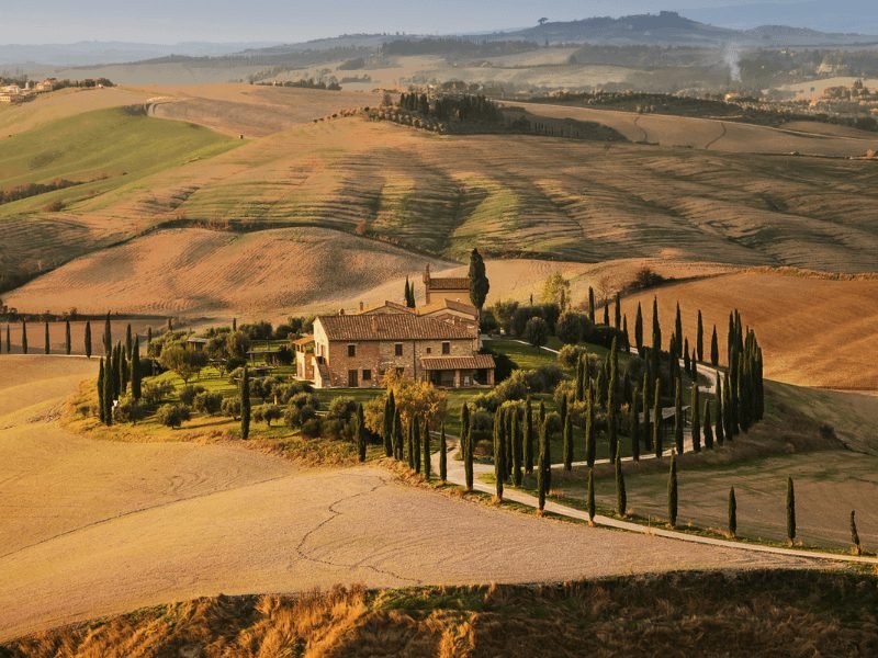 view of a beautiful tuscan villa with tree lining road in the autumn