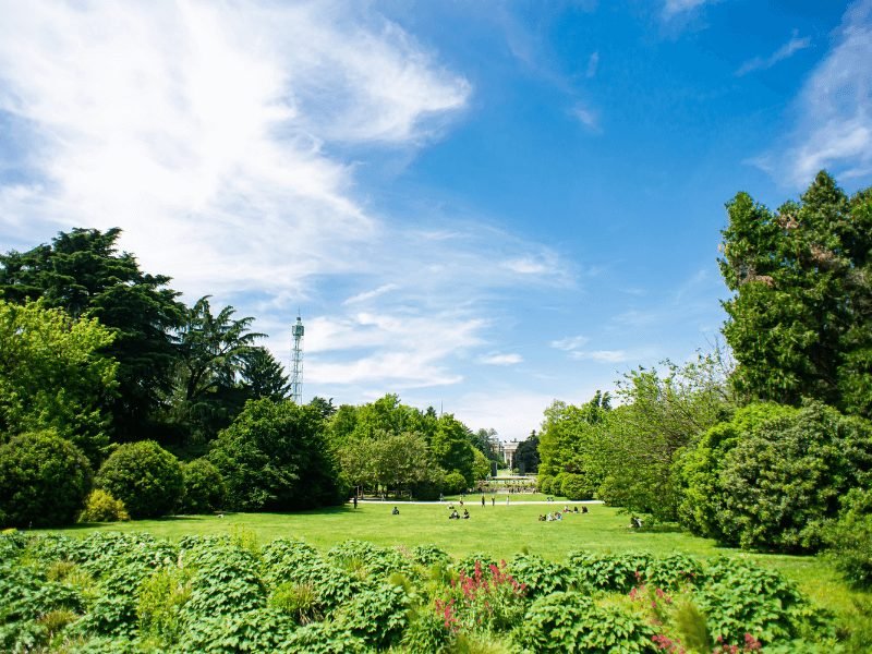 green grass, tv tower, and people in the park at parco sempione, a must visit on any milan itinerary