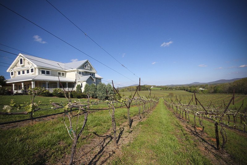 photo of a house on a northern Georgia vineyard, another popular weekend getaway in Georgia 