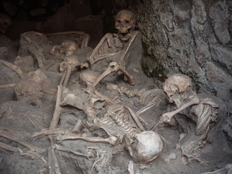 skeletons in Herculaneum vs. body casts in Pompeii
