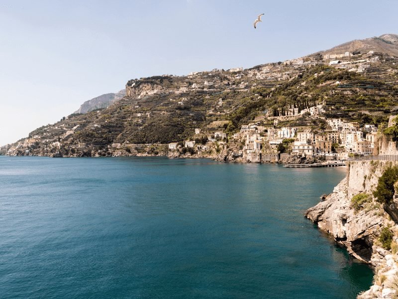 blue sea with hillside town and seagull flying above the water