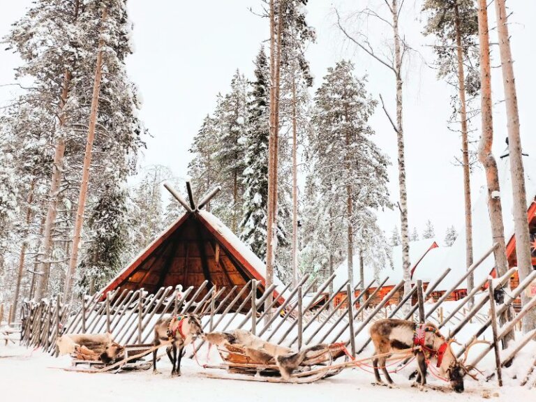 Lapland Packing List: What to Pack for a Cozy Winter Trip to Lapland