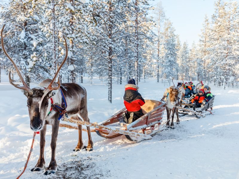 people including children at a reindeer safari near rovaniemi in winter