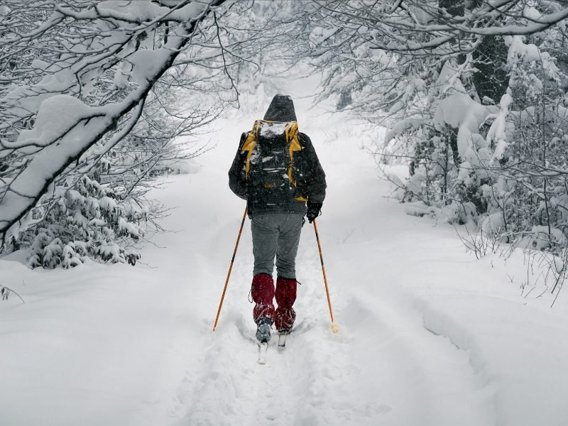 person doing cross country skiing in the snow