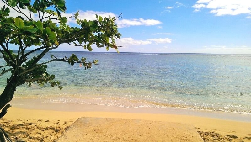 sandy beach on north shore of oahu