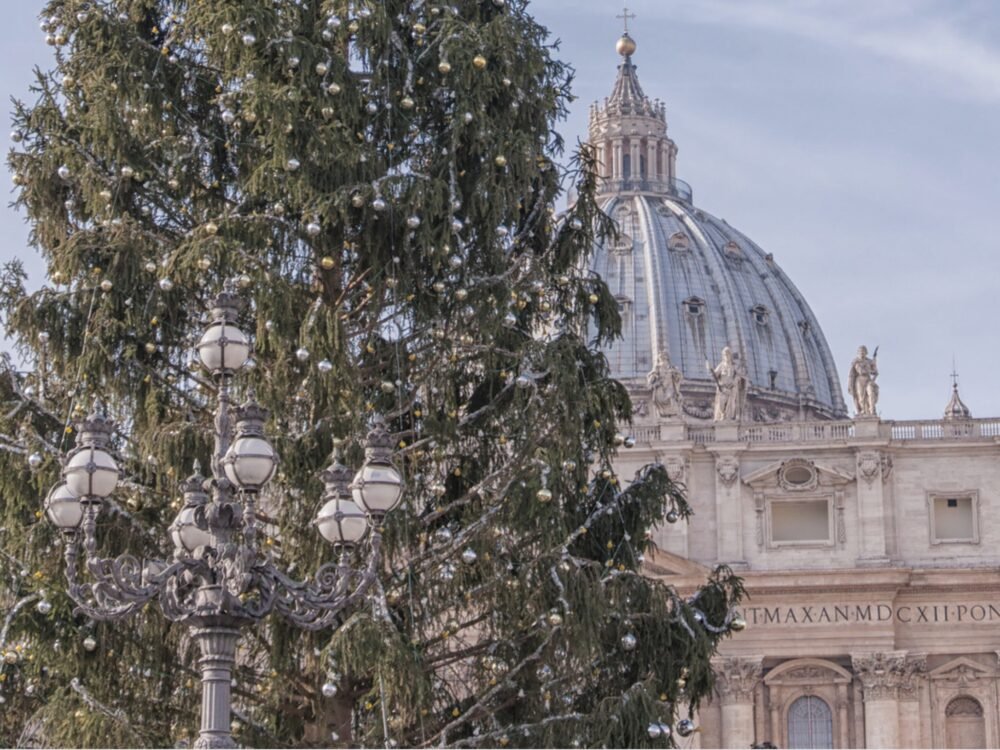 christmas tree in front of the st peter basilica in vatican city