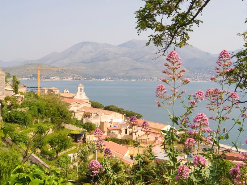 town of gaeta on the water with flowers in the foreground and buildings in the background