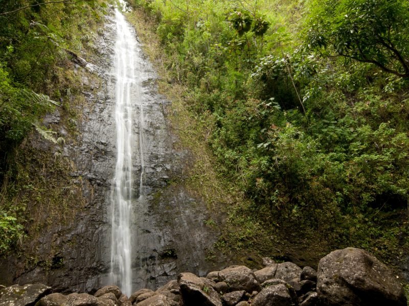 view of the manoa falls waterfall from the ground up with mossy cliff and boulders in foreground