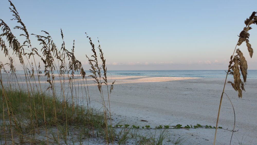 Peaceful morning light on Anna Maria Island in Florida with reeds, water, beach