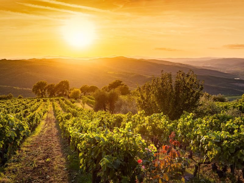 sunset over a vineyard in Tuscany italy for a romantic tasting and dinner experience