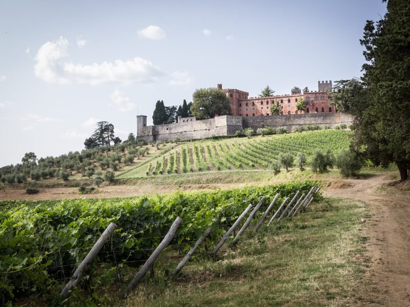 the remnants of brolio castle in Tuscany and the vineyards surrounding it which you can visit on a wine tour in Tuscany