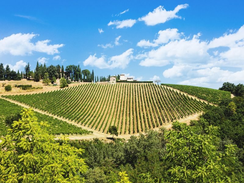 best tuscany wine tours from florence