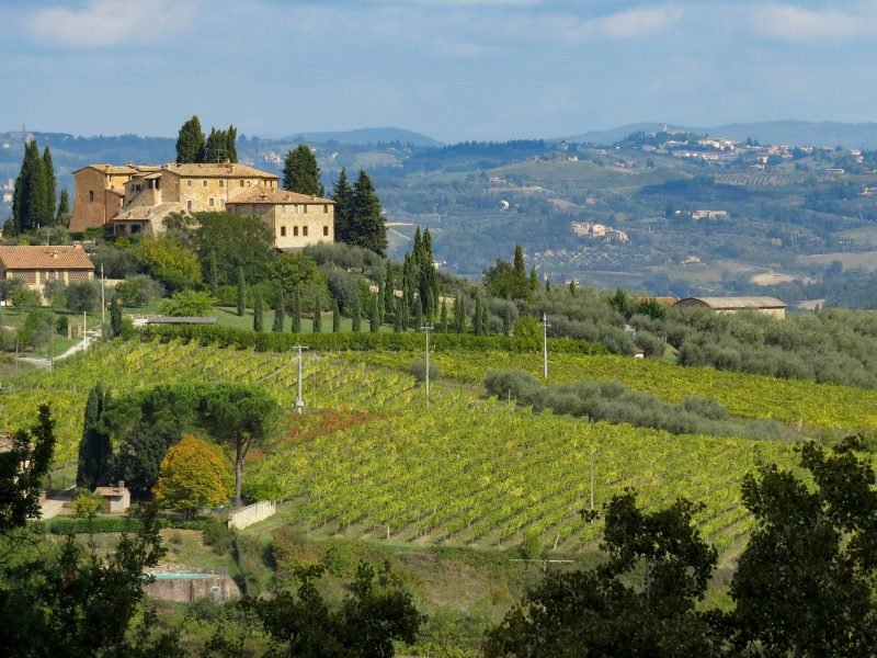 View of vineyards and a winery as seen from a vantage point further away with Tuscan hills in the background