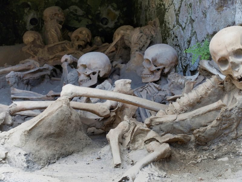 Several plaster cast replicas of human skeletons found hiding in a section of Herculaneum before perishing in the explosion's aftermath
