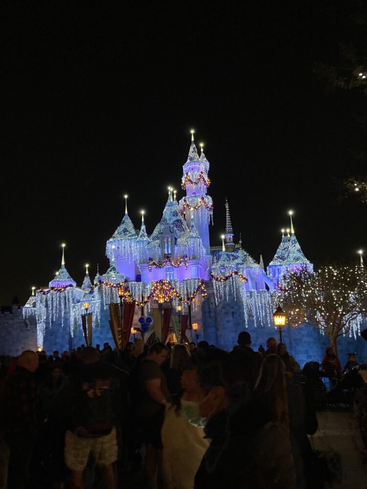 Sleeping Beauty's castle all lit up in lavender blue colors like frost and lots of people milling about in front of the display