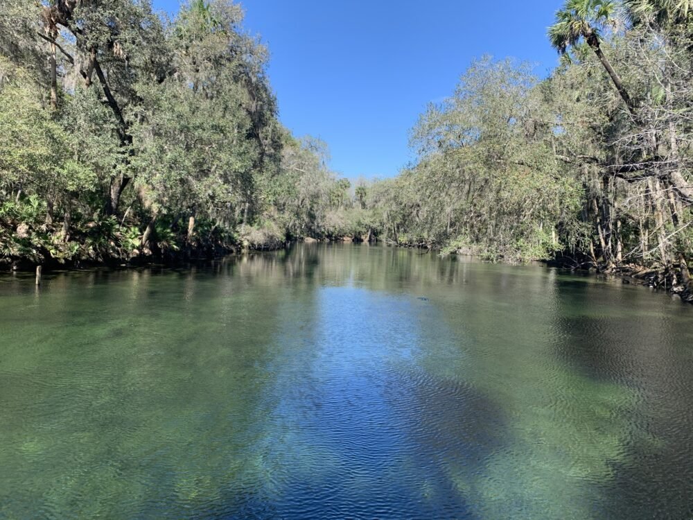 Spring in the Orlando area with beautiful clear water and trees around it