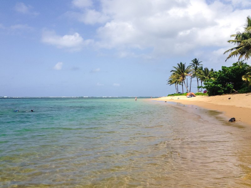 Another beach in Kauai with palm trees, a small orange tent up, someone snorkeling in the water and enjoying the marine life you can see