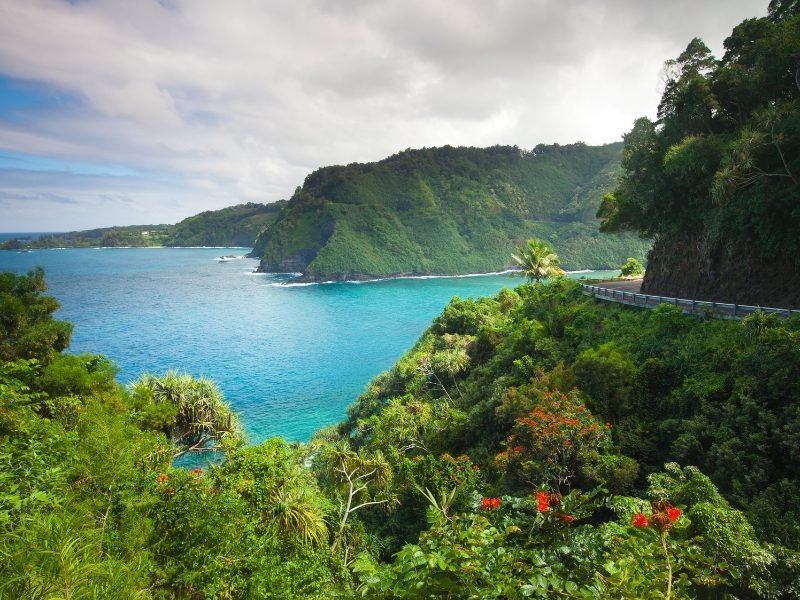 Brilliant blue water as seen from an overlook on the Road to Hana, with dramatic green lush mountain scenery and a bit of road visible, and some red tropical flowers.