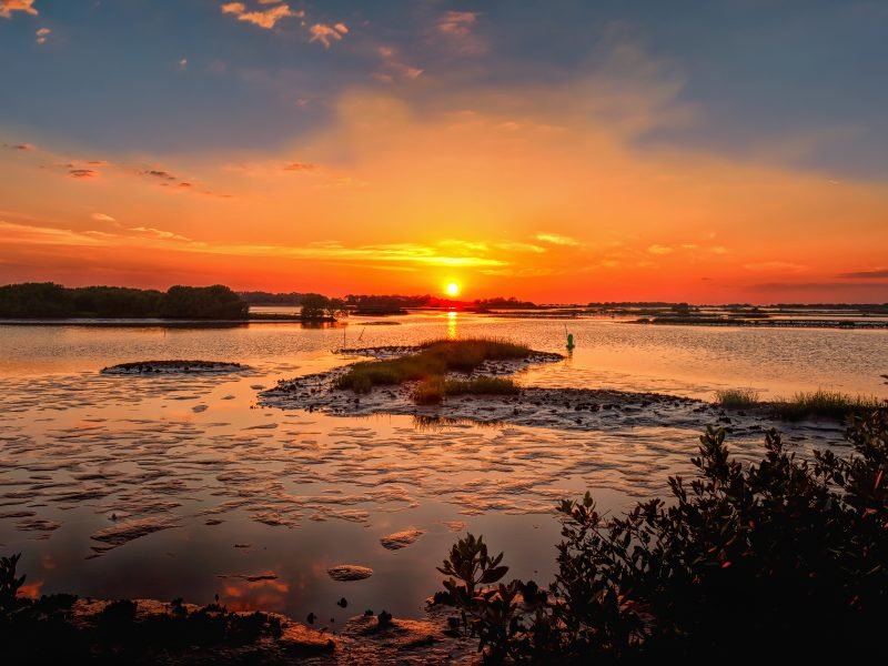 The sun setting over a landscape of marshy beauty in Cedar Key Florida