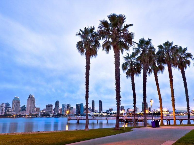 Palm trees and the San Diego skyline with the harbor in front of it at the early nighttime hours, with some of the lights of the city on.