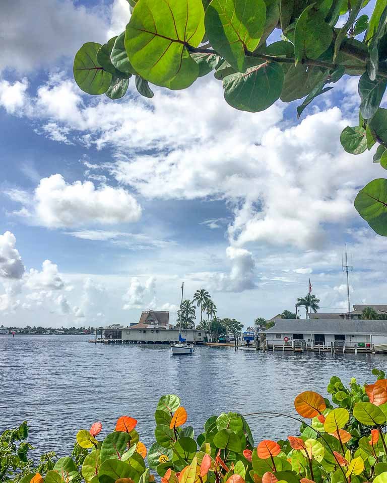 the beautiful marco island with foliage in the front and view of sea and lush tropical foliage 