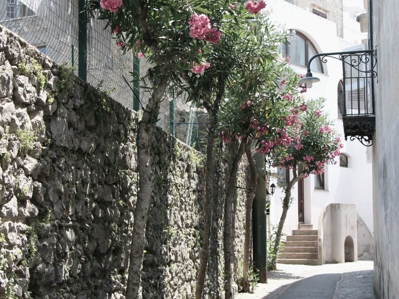 Another view of a street in Anacapri with a wall with flowers on it and whitewashed buildings.