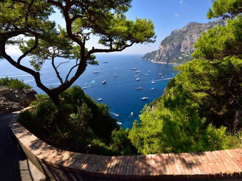 A view from high up on Capri, looking down onto the brilliant blue water below. There are many boats in the water. 