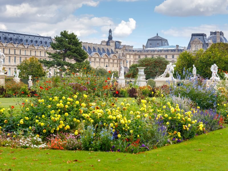 Yellow flowers and other colorful flowers and green grass, with sculptures in garden, and the Louvre Palace architecture in the background, in the Tuileries Garden of Paris.